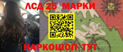 Альфа ПВП Ачхой-Мартан