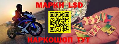 Альфа ПВП Ачхой-Мартан