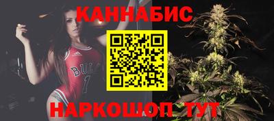 Альфа ПВП Ачхой-Мартан