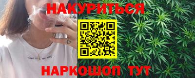 Альфа ПВП Ачхой-Мартан