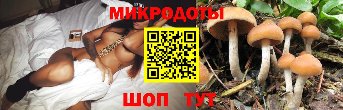 Псилоцибиновые грибы GOLDEN TEACHER  Вход с VPN  Галлюциногенные грибы мухоморы  дарнет шоп  Новочеркасск 